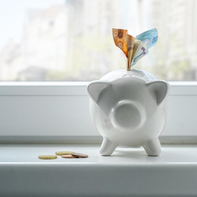 Sparschwein mit Geld