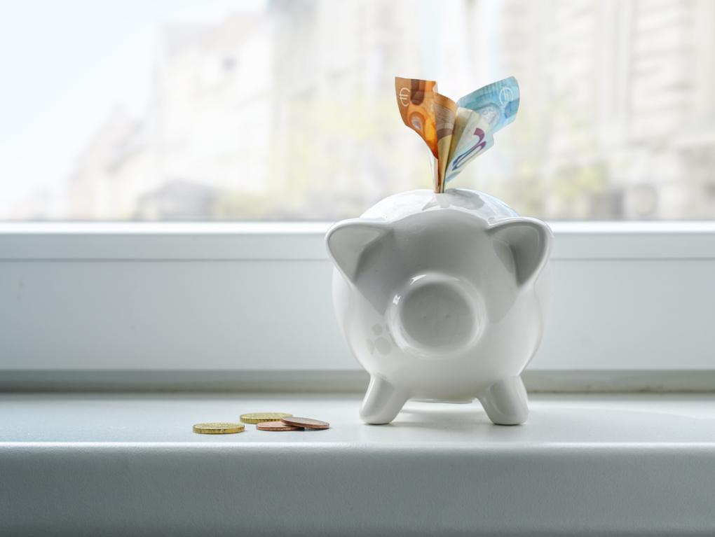 Sparschwein mit Geld