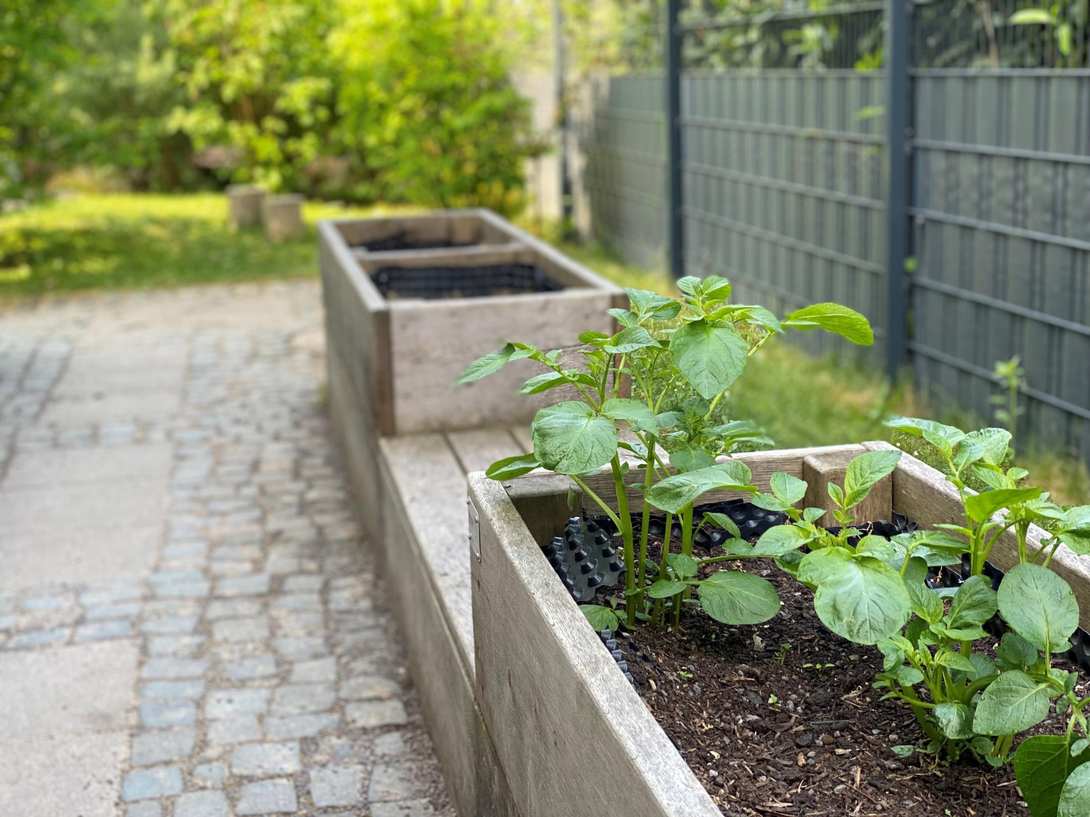 Hochbeete, Außengelände, Naturprojekt