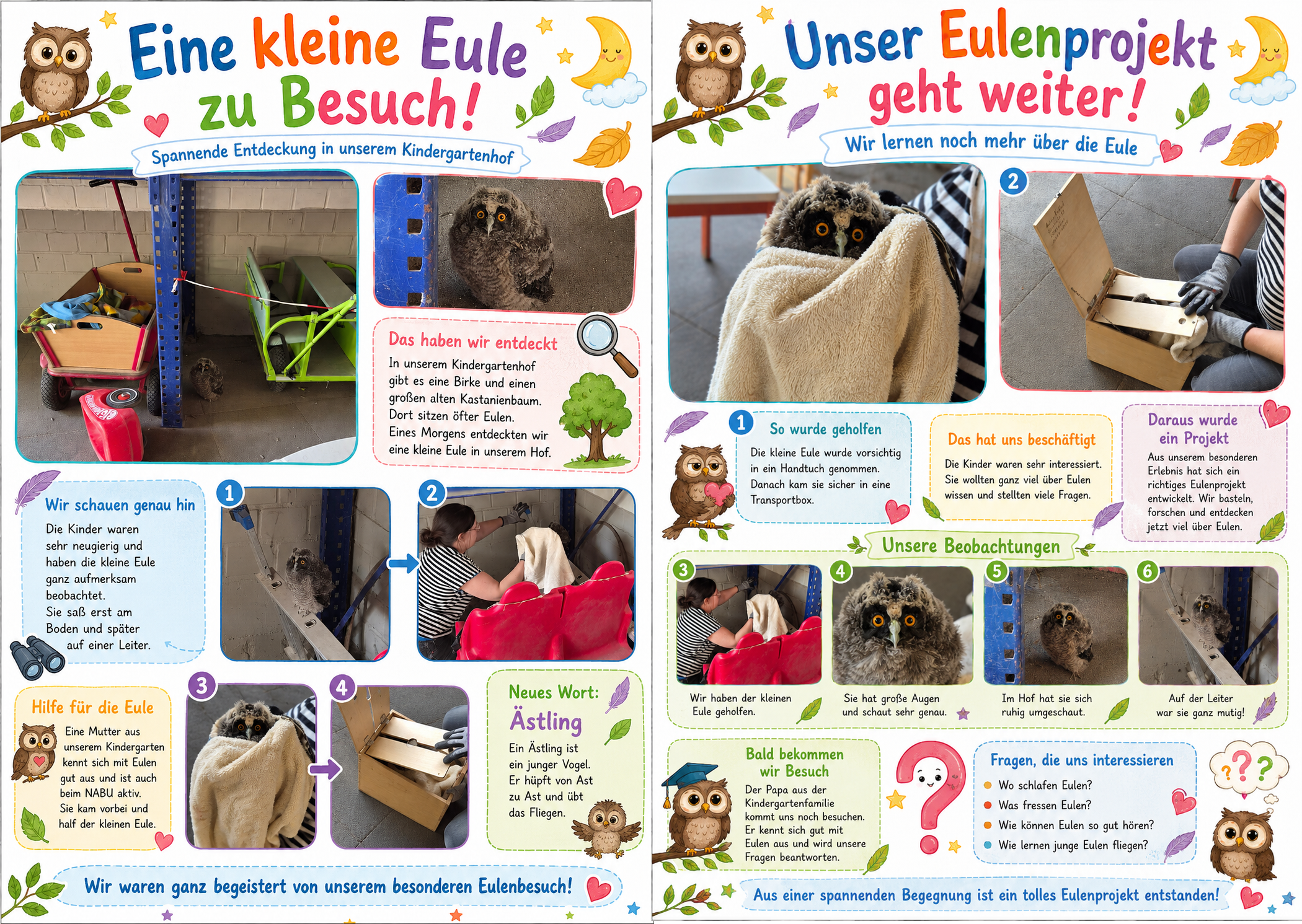 Eulenbesuch in der Kita